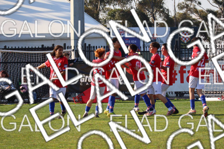 Melbourne Knights vs Oakleigh Cannons photo