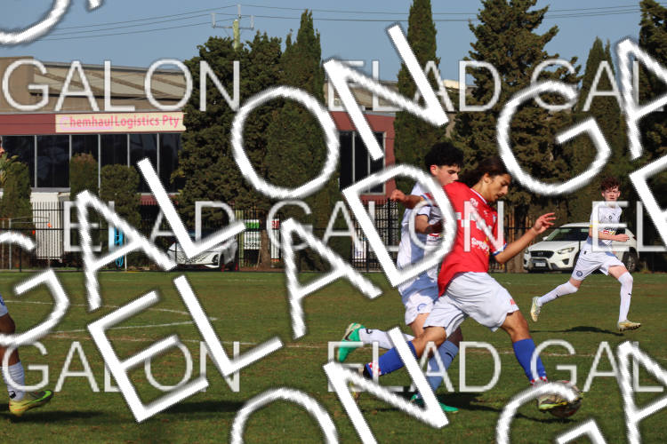 Melbourne Knights vs Oakleigh Cannons photo