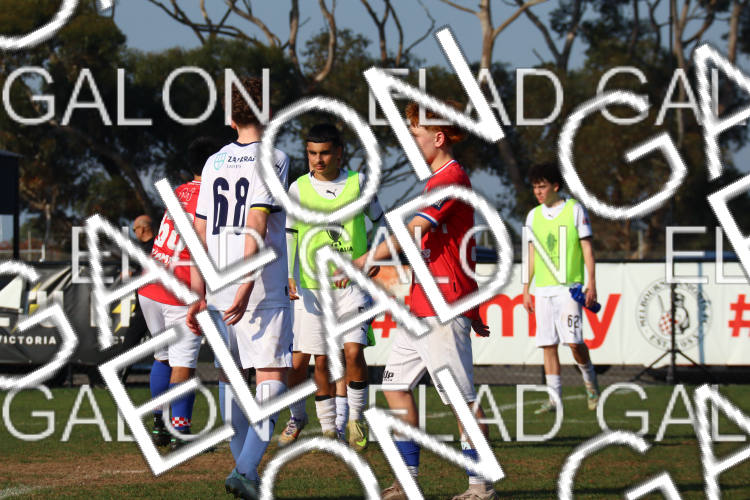 Melbourne Knights vs Oakleigh Cannons photo