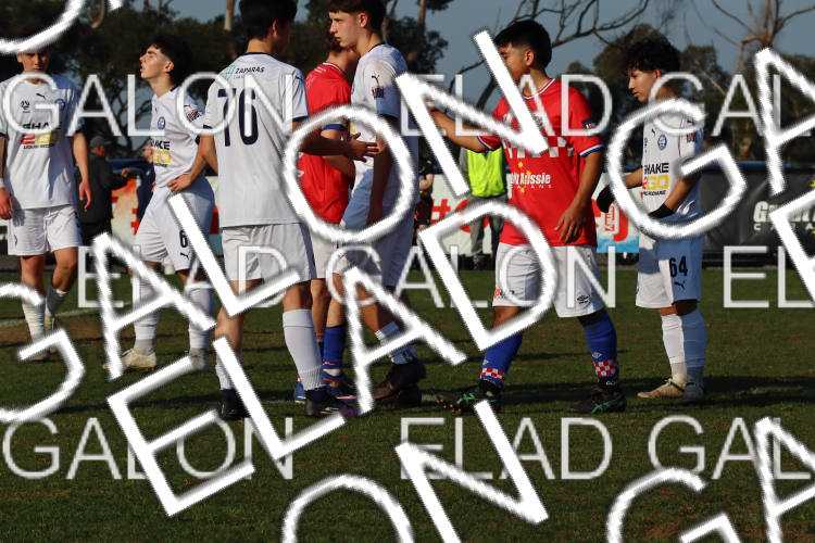 Melbourne Knights vs Oakleigh Cannons photo