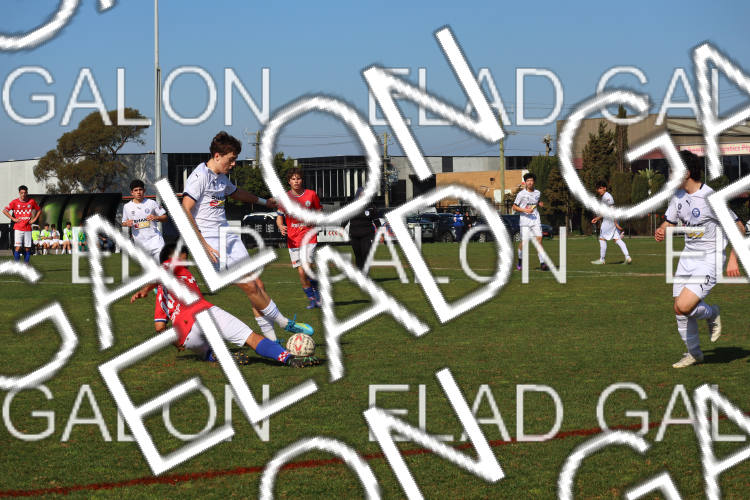 Melbourne Knights vs Oakleigh Cannons photo