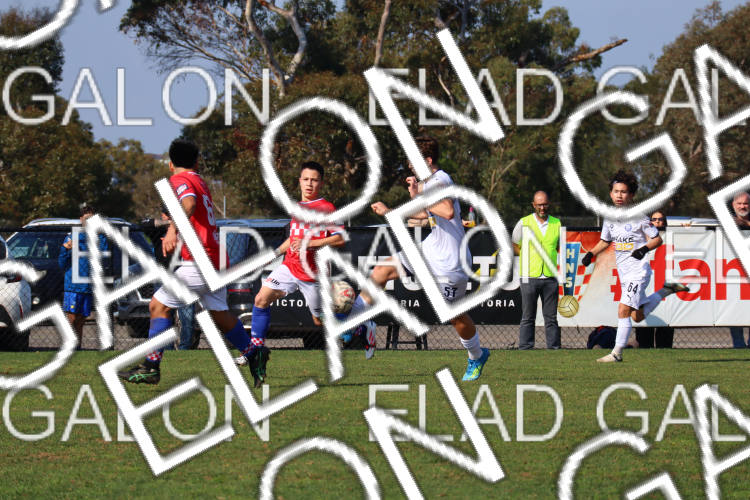 Melbourne Knights vs Oakleigh Cannons photo