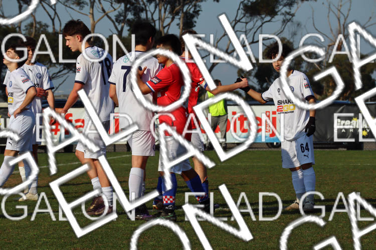 Melbourne Knights vs Oakleigh Cannons photo