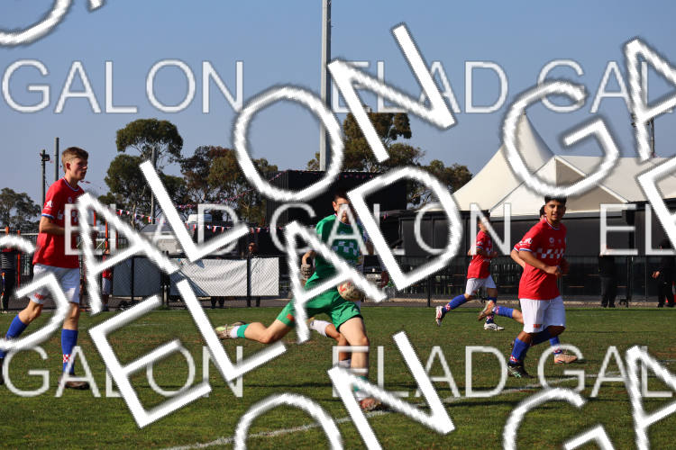 Melbourne Knights vs Oakleigh Cannons photo