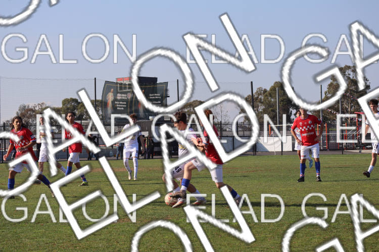 Melbourne Knights vs Oakleigh Cannons photo