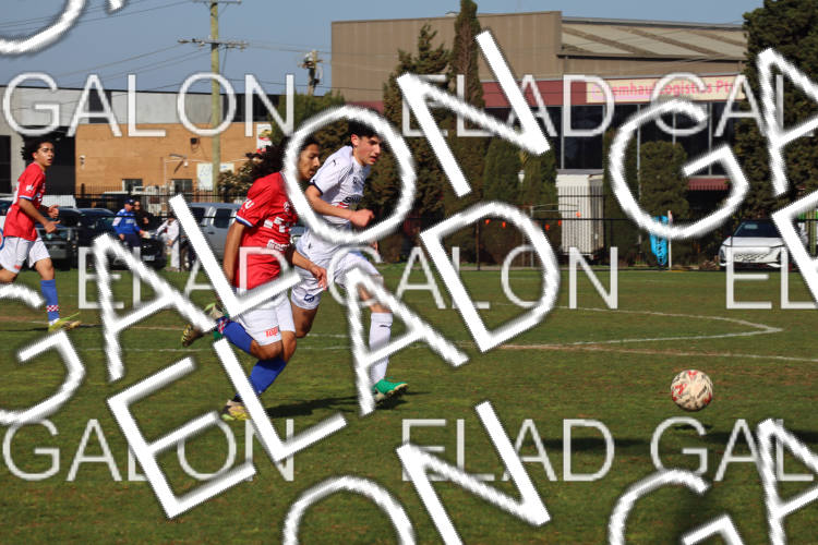 Melbourne Knights vs Oakleigh Cannons photo