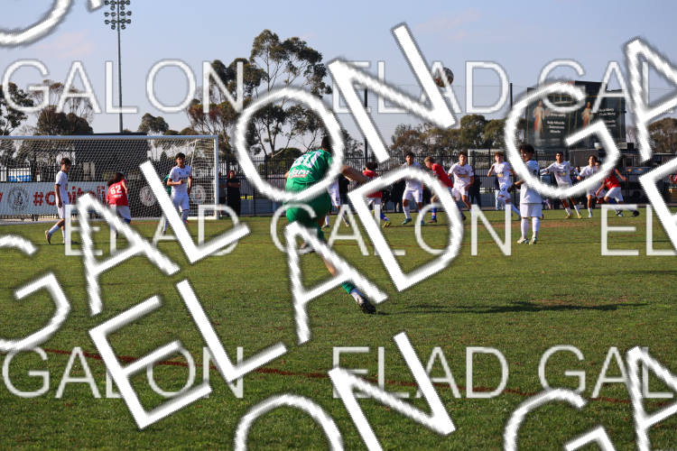 Melbourne Knights vs Oakleigh Cannons photo