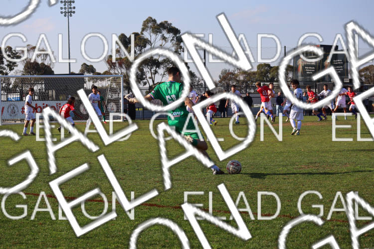 Melbourne Knights vs Oakleigh Cannons photo