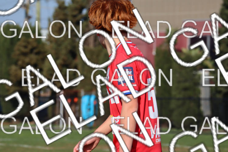 Melbourne Knights vs Oakleigh Cannons photo