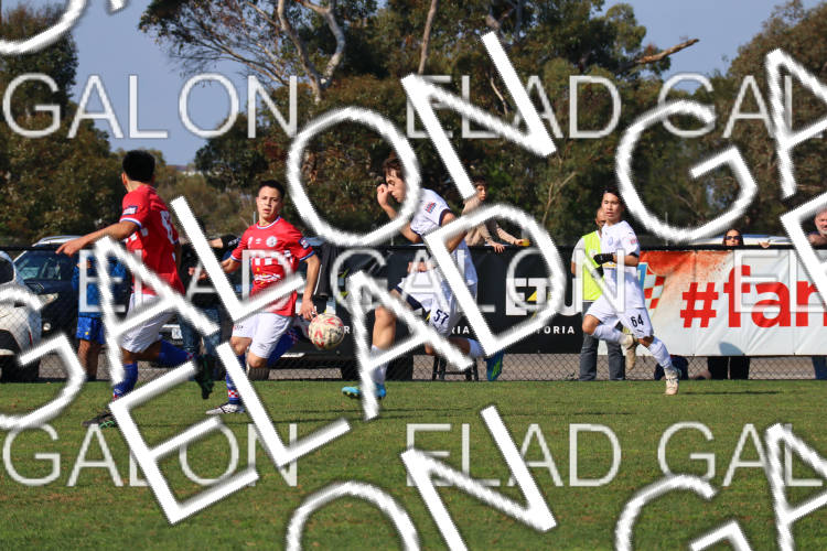 Melbourne Knights vs Oakleigh Cannons photo