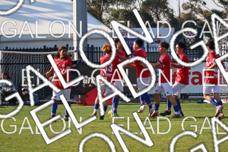 Melbourne Knights vs Oakleigh Cannons photo