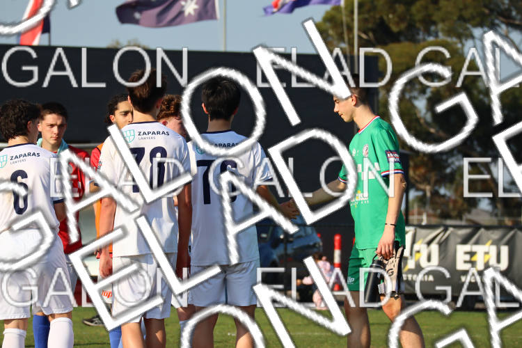 Melbourne Knights vs Oakleigh Cannons photo