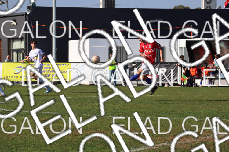 Melbourne Knights vs Oakleigh Cannons photo