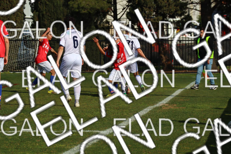 Melbourne Knights vs Oakleigh Cannons photo