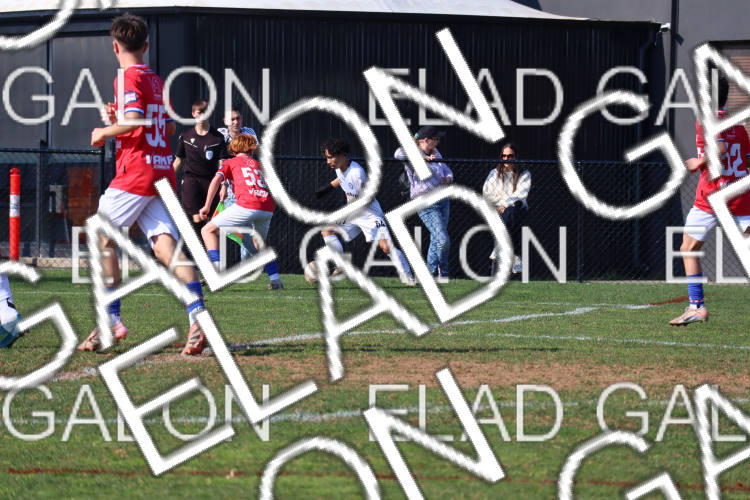 Melbourne Knights vs Oakleigh Cannons photo