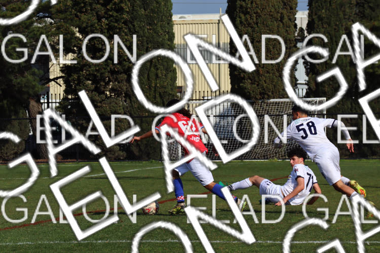 Melbourne Knights vs Oakleigh Cannons photo