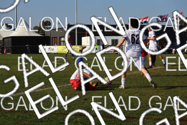 Melbourne Knights vs Oakleigh Cannons photo