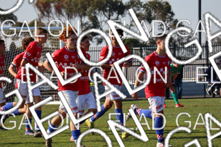 Melbourne Knights vs Oakleigh Cannons photo