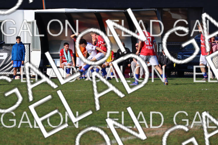 Melbourne Knights vs Oakleigh Cannons photo