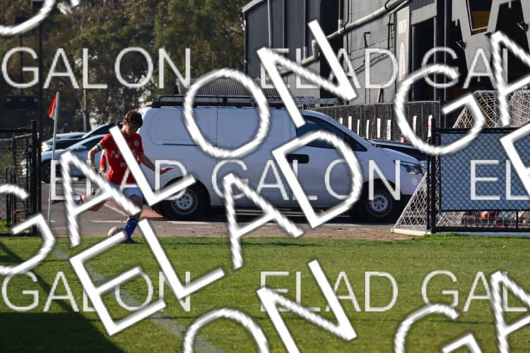 Melbourne Knights vs Oakleigh Cannons photo