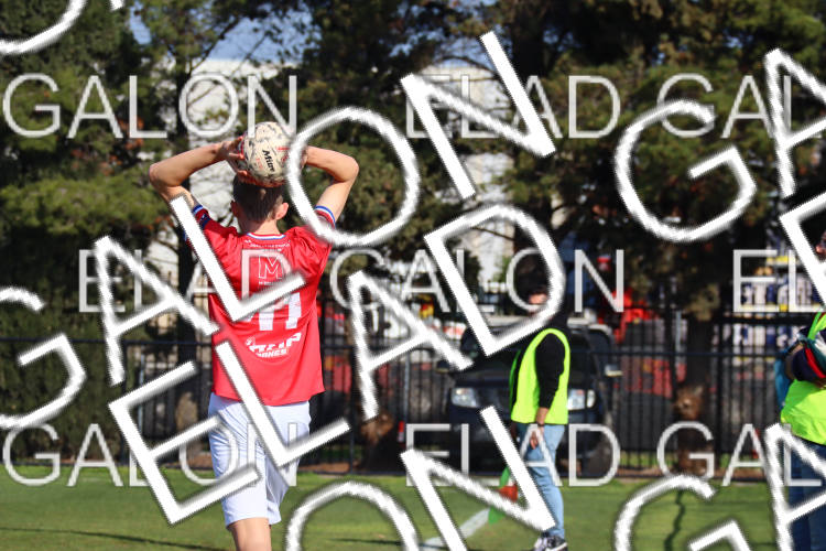 Melbourne Knights vs Oakleigh Cannons photo