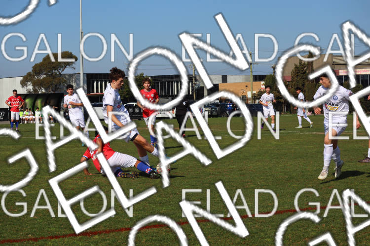 Melbourne Knights vs Oakleigh Cannons photo