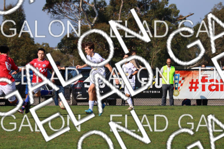 Melbourne Knights vs Oakleigh Cannons photo