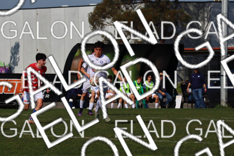 Melbourne Knights vs Oakleigh Cannons photo