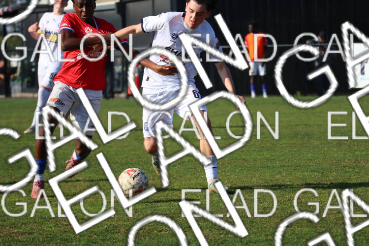 Melbourne Knights vs Oakleigh Cannons photo