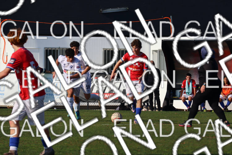 Melbourne Knights vs Oakleigh Cannons photo