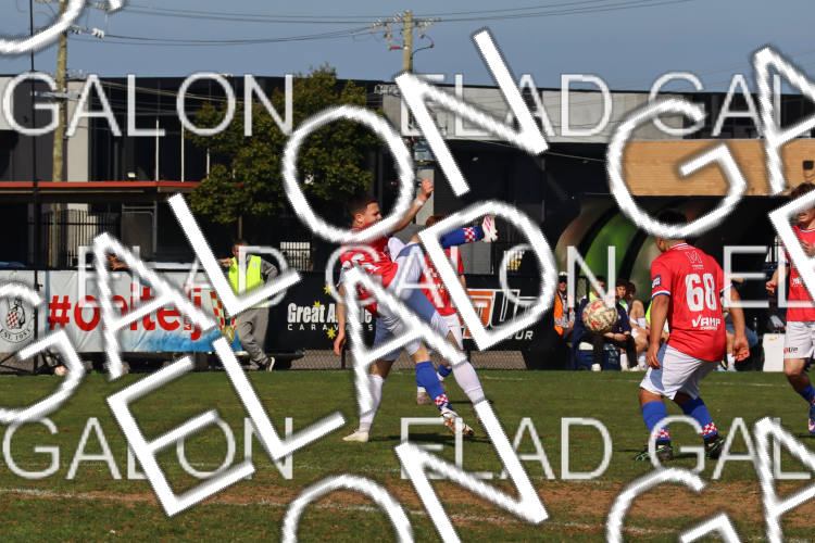Melbourne Knights vs Oakleigh Cannons photo