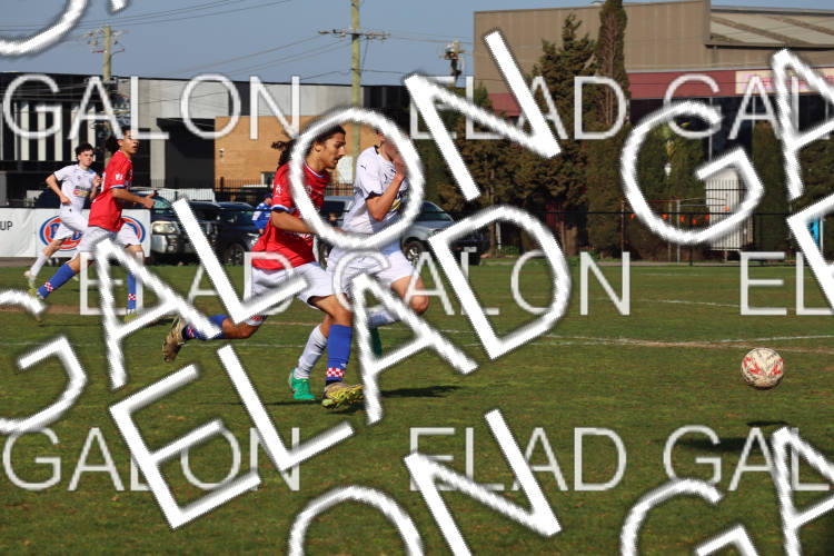 Melbourne Knights vs Oakleigh Cannons photo
