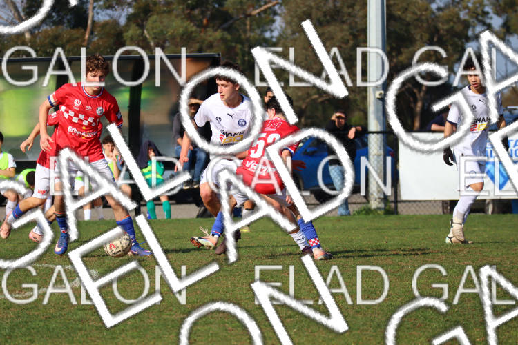 Melbourne Knights vs Oakleigh Cannons photo