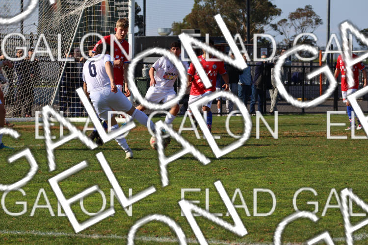 Melbourne Knights vs Oakleigh Cannons photo
