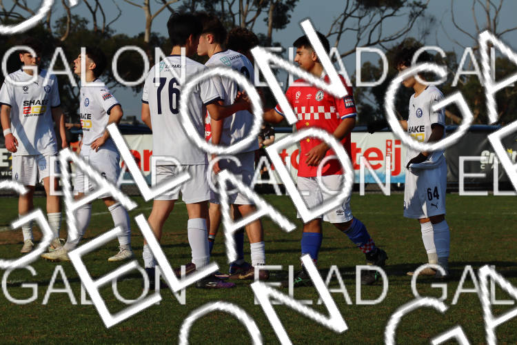 Melbourne Knights vs Oakleigh Cannons photo