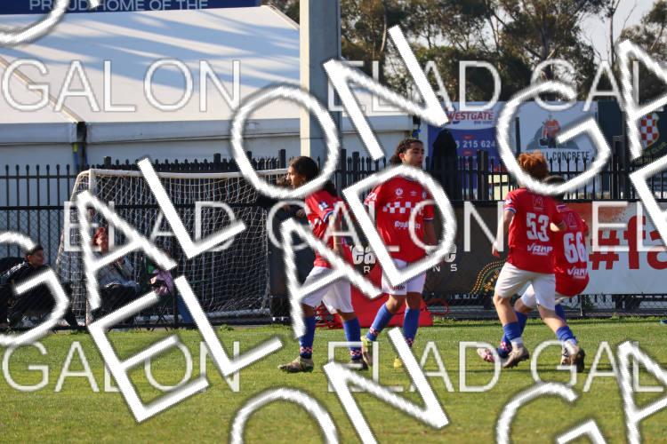 Melbourne Knights vs Oakleigh Cannons photo