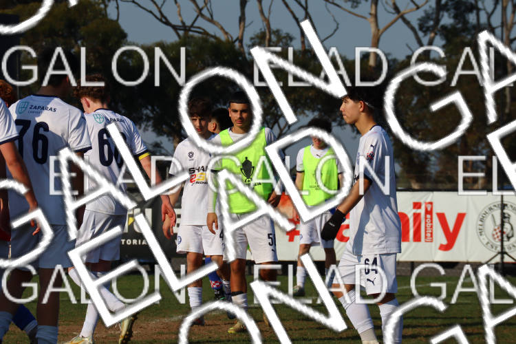 Melbourne Knights vs Oakleigh Cannons photo