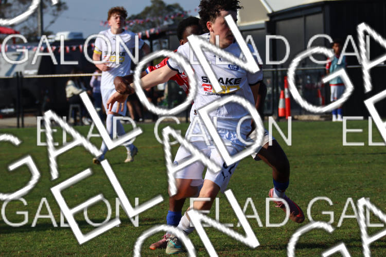 Melbourne Knights vs Oakleigh Cannons photo
