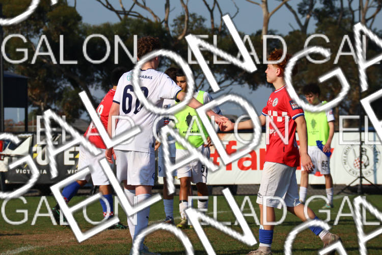 Melbourne Knights vs Oakleigh Cannons photo