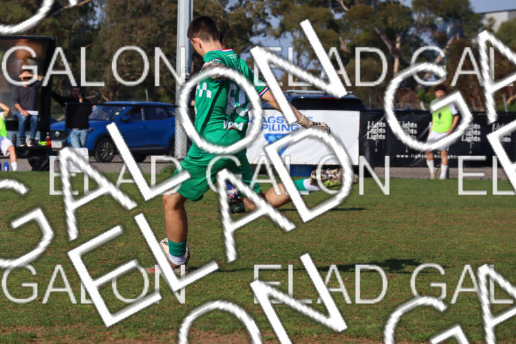 Melbourne Knights vs Oakleigh Cannons photo