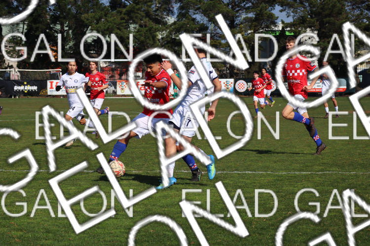 Melbourne Knights vs Oakleigh Cannons photo