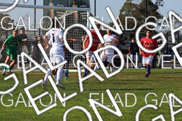 Melbourne Knights vs Oakleigh Cannons photo