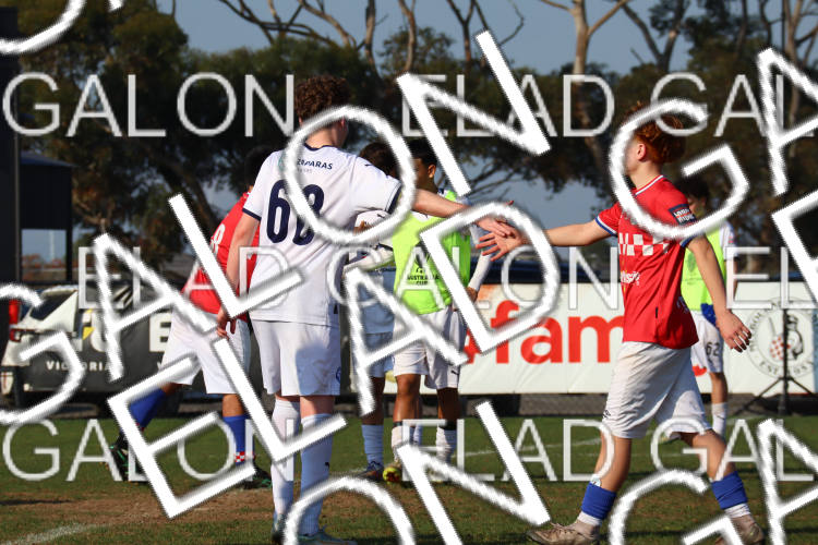 Melbourne Knights vs Oakleigh Cannons photo