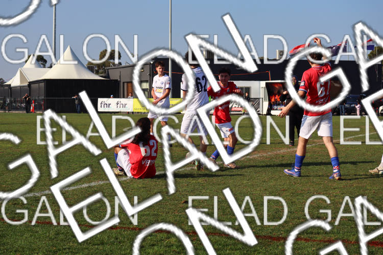 Melbourne Knights vs Oakleigh Cannons photo