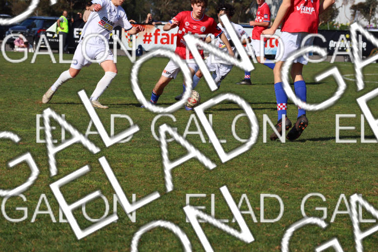 Melbourne Knights vs Oakleigh Cannons photo