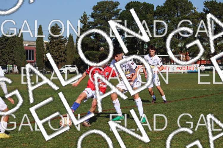 Melbourne Knights vs Oakleigh Cannons photo