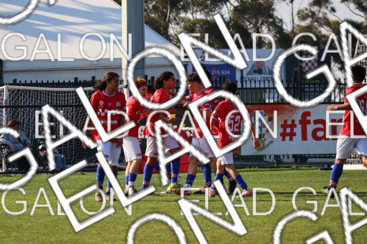 Melbourne Knights vs Oakleigh Cannons photo