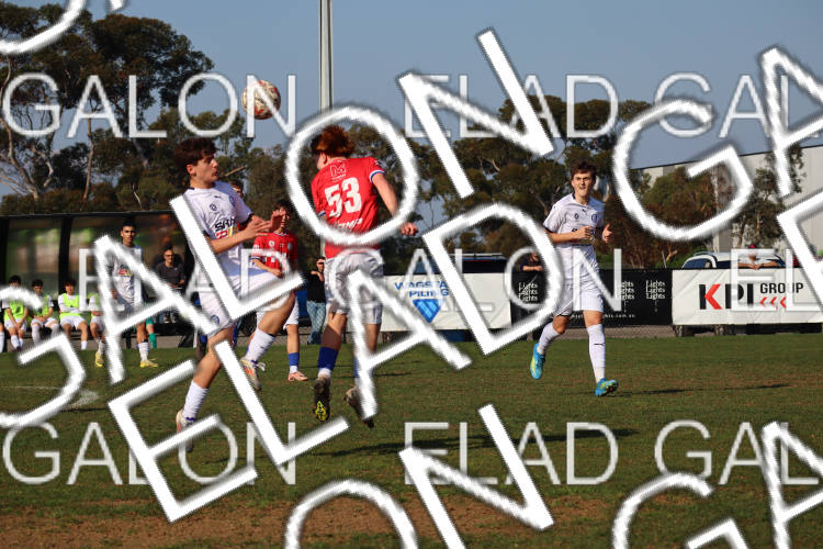 Melbourne Knights vs Oakleigh Cannons photo