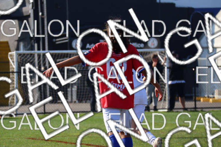 Melbourne Knights vs Oakleigh Cannons photo