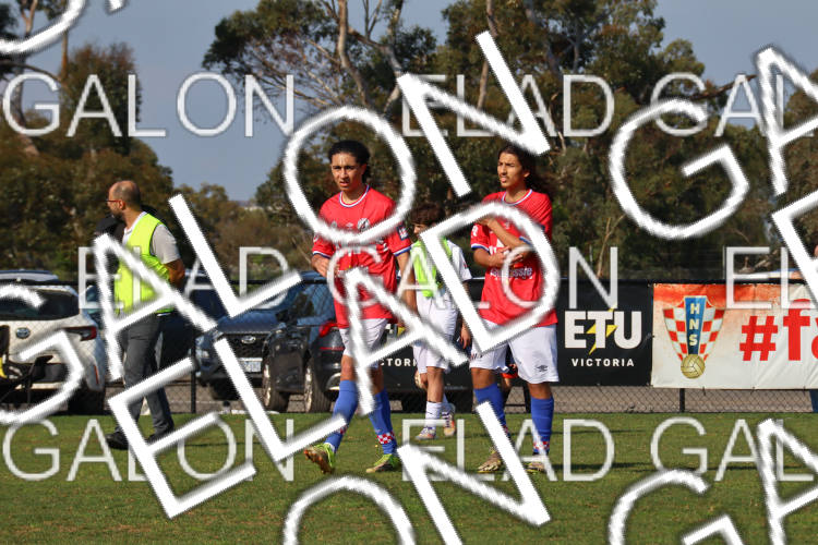 Melbourne Knights vs Oakleigh Cannons photo